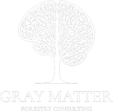 Gray Matter Forestry | Arborist Consulting in the greater Toronto area