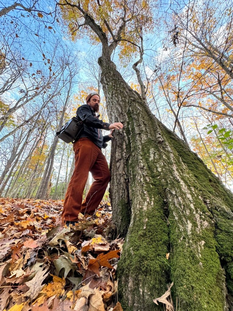 Arborist Construction Site Inspections: Purpose and Best Practices
